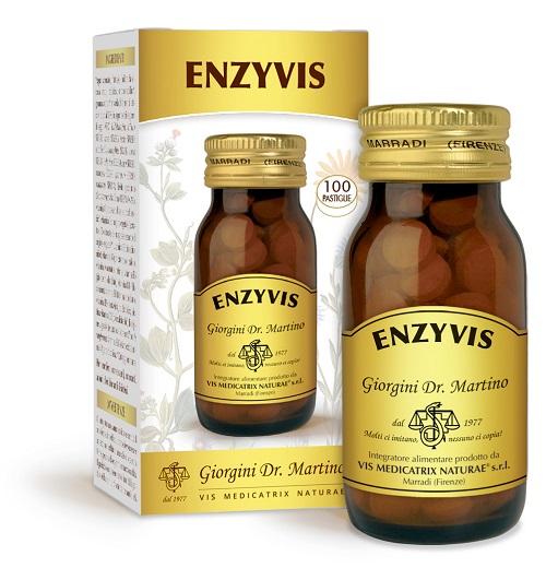 ENZYVIS 100 Past.500mg