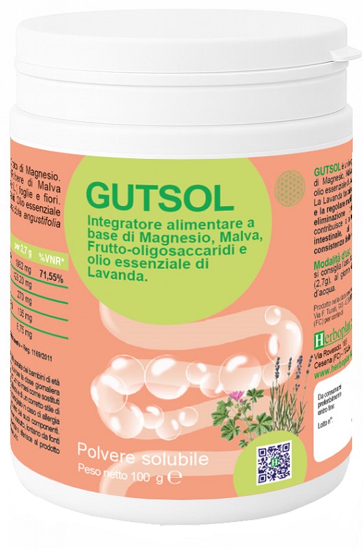 GUTSOL 100G